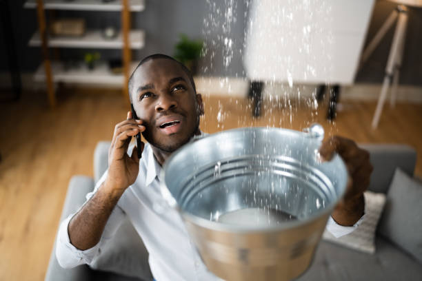 Best Carpet water damage restoration  in Meadow Vista, CA