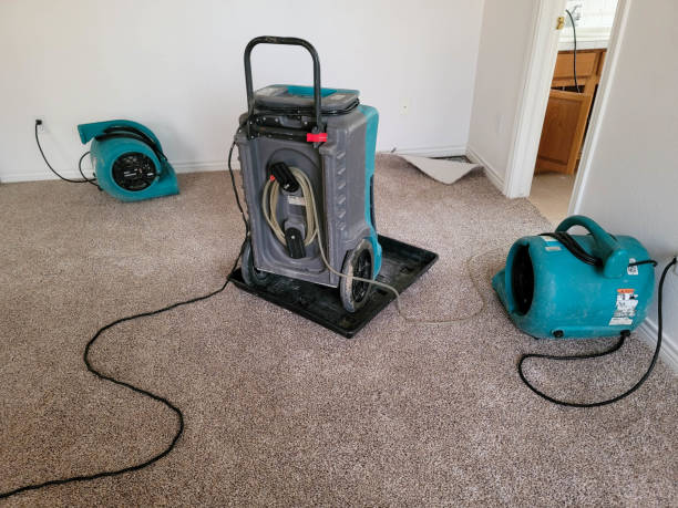 Fire Damage Restoration in Meadow Vista, CA