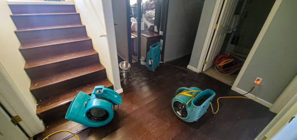 Best Water damage restoration near me  in Meadow Vista, CA