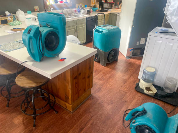 Best Commercial water damage restoration  in Meadow Vista, CA