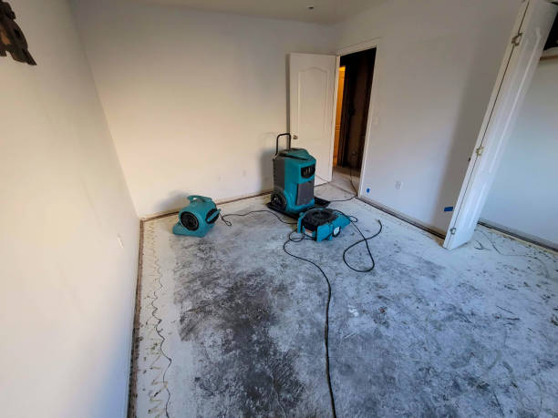 Meadow Vista, CA Water damage restoration Company