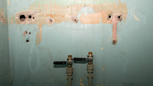 Best Residential water damage restoration  in Meadow Vista, CA