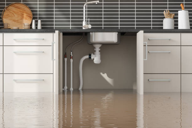 Best Flooded house restoration  in Meadow Vista, CA