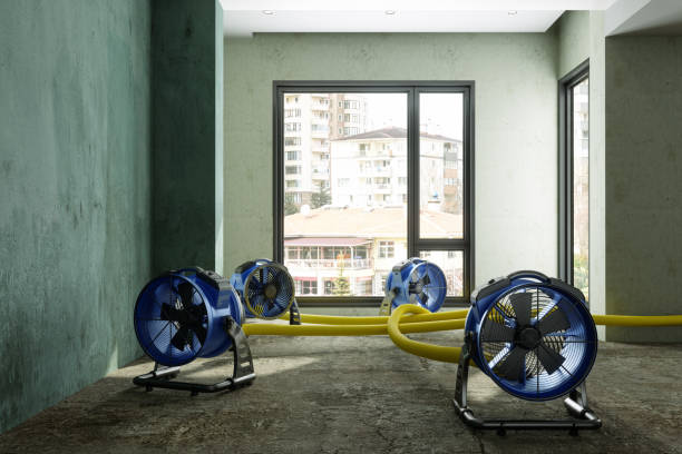 Best Water damage cleanup near me  in Meadow Vista, CA